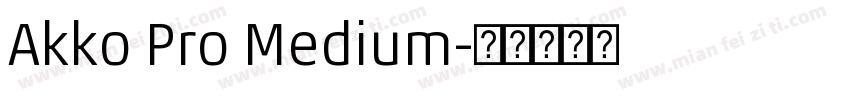 Akko Pro Medium字体转换
